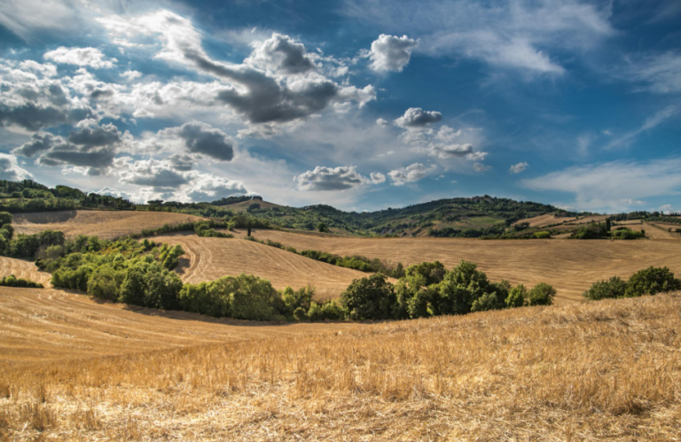 Le Marche: The Italian Region Where the Mediterranean Diet Was Born (And Still Lives)