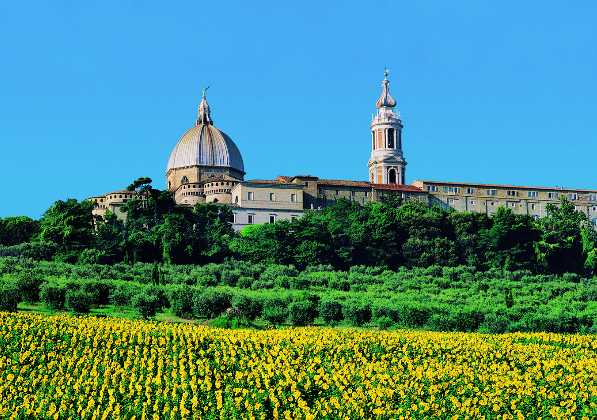 Basilica della Santa Casa di Loreto rising above sunflower fields in the Marche countryside, Italy