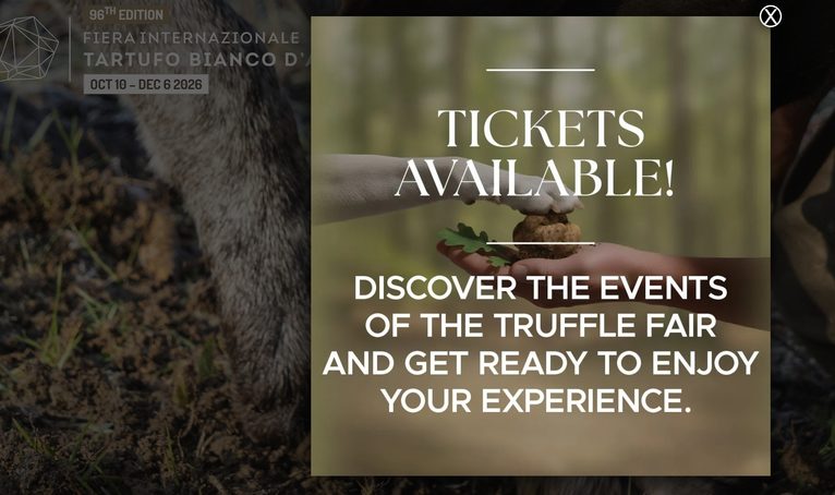 Alba Truffle Fair 2026: How to Actually Go