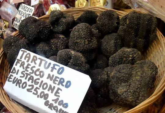Fresh black truffles for sale at an Italian market, priced by the hundred grams