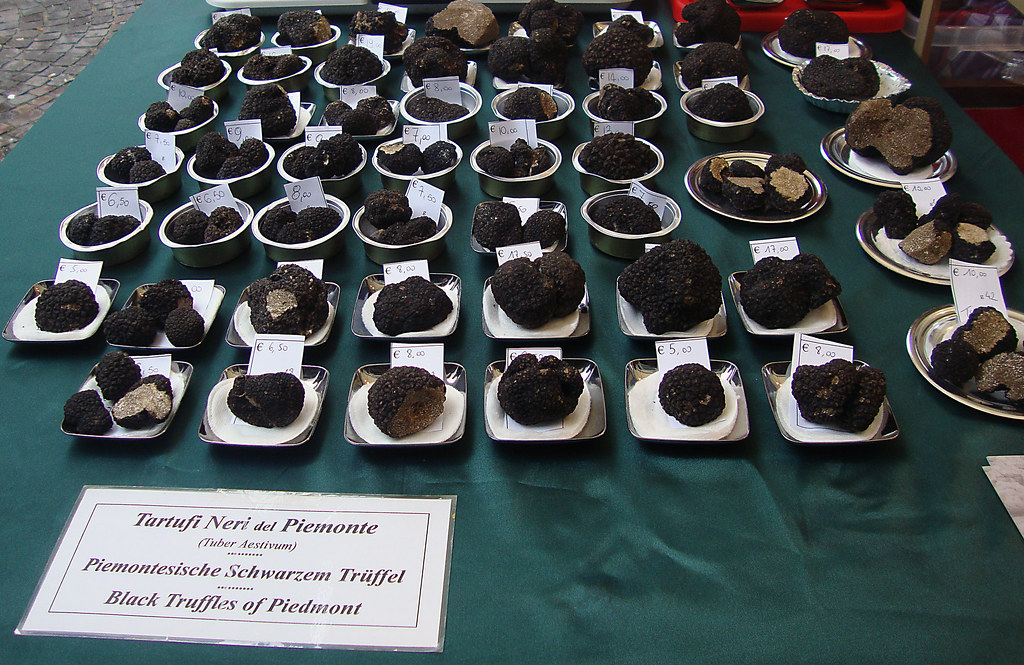 Black truffles of Piedmont priced by weight at a regional truffle market