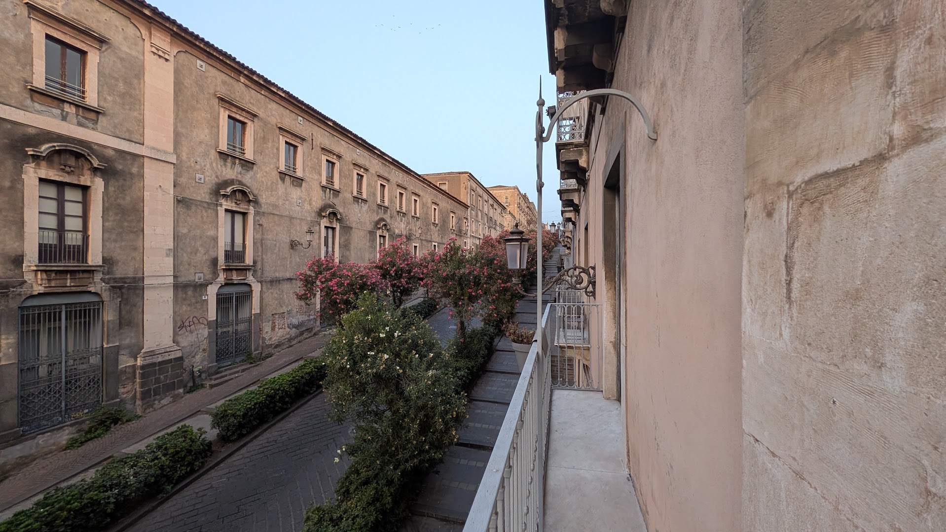 A quiet street in Catania's historic center, flanked by tall stone facades and flowering oleander