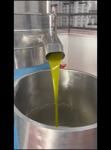 A thin stream of golden-green new olive oil pouring from a mill spout into a steel drum