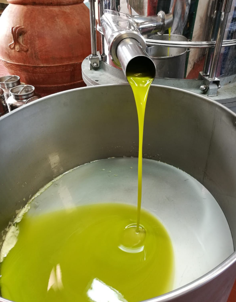 A stream of fresh green extra virgin olive oil pouring from a frantoio spout into a stainless steel vat