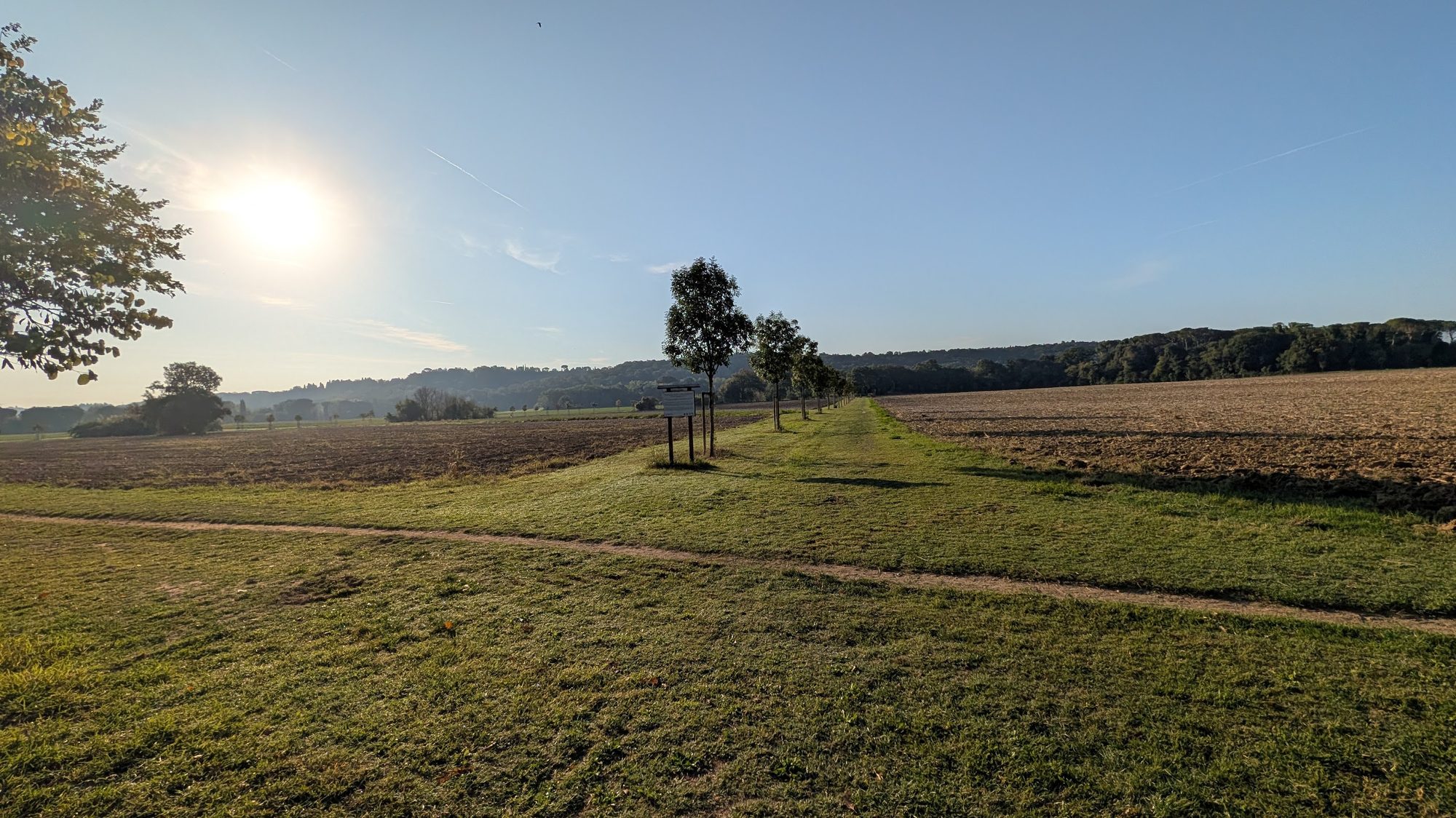 A tree-lined path through the fields of the Riserva Naturale Abbadia di Fiastra