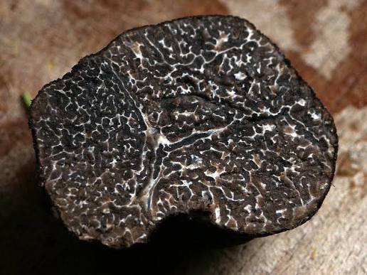 Cross-section of a black truffle showing fine white marbling veins running through dark flesh, a key authenticity check