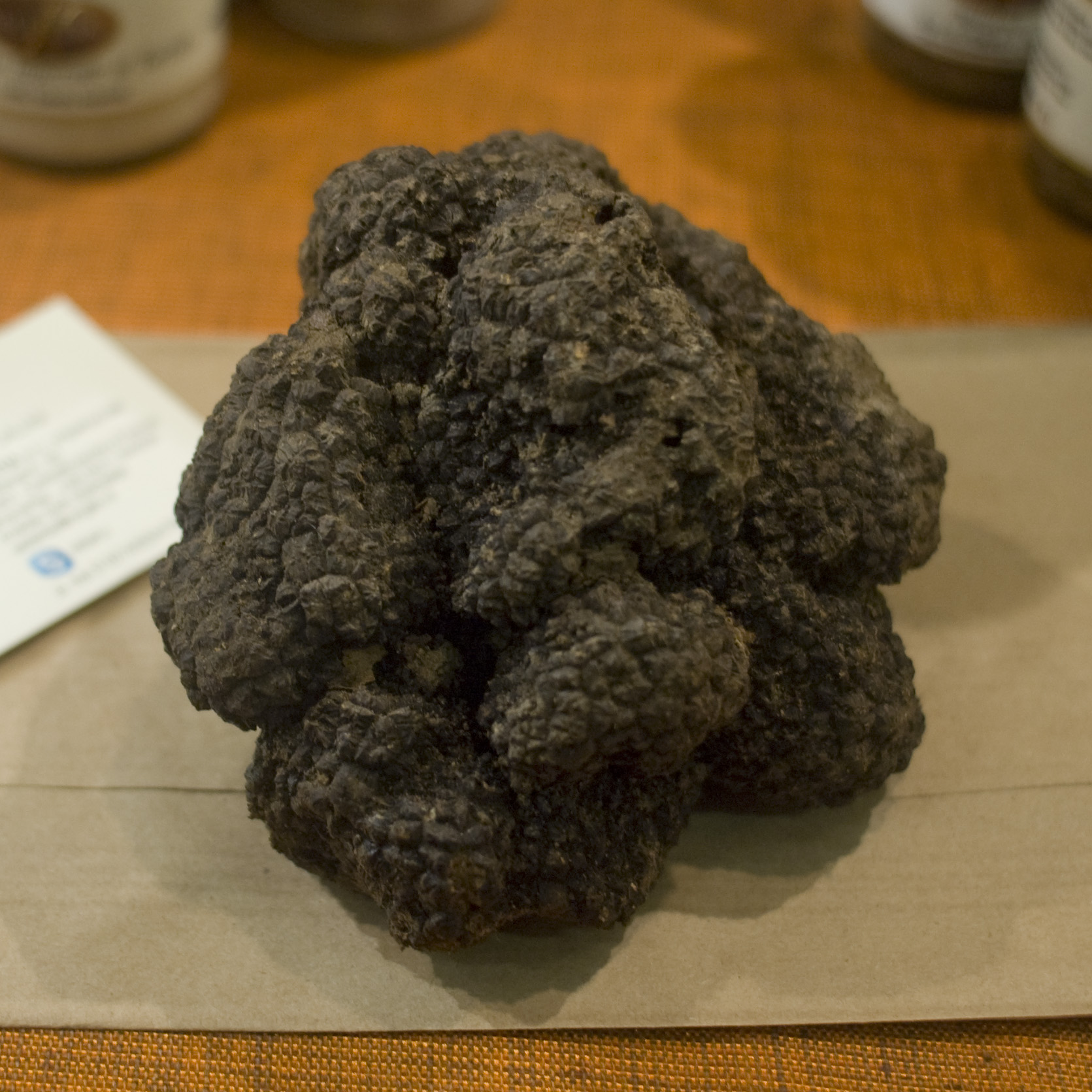 A whole black truffle showing its rough, warty, irregular surface next to a printed provenance card