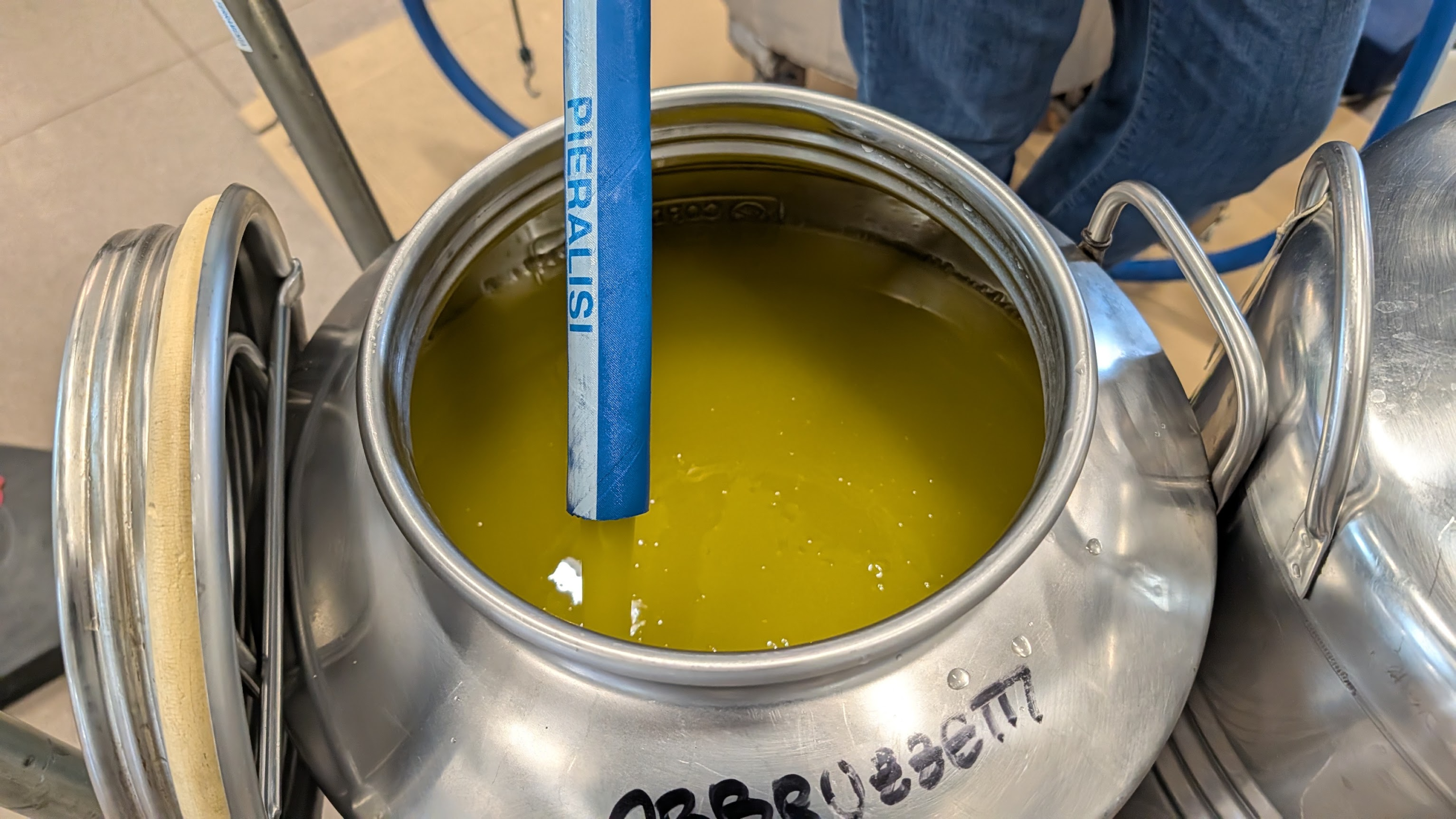 Freshly pressed olive oil settling in a stainless steel tank with a Pieralisi hose